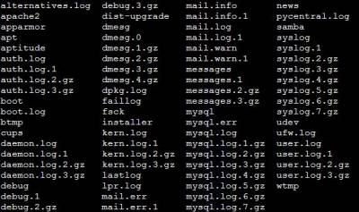 Ispis svih log datoteka na ispitivanom poslužitelju